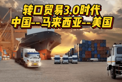 规避关税壁垒的聪慧径：马来西亚转话柄操案例