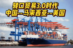 转口商业新蓝海：马来西亚转话柄操案例拆解！